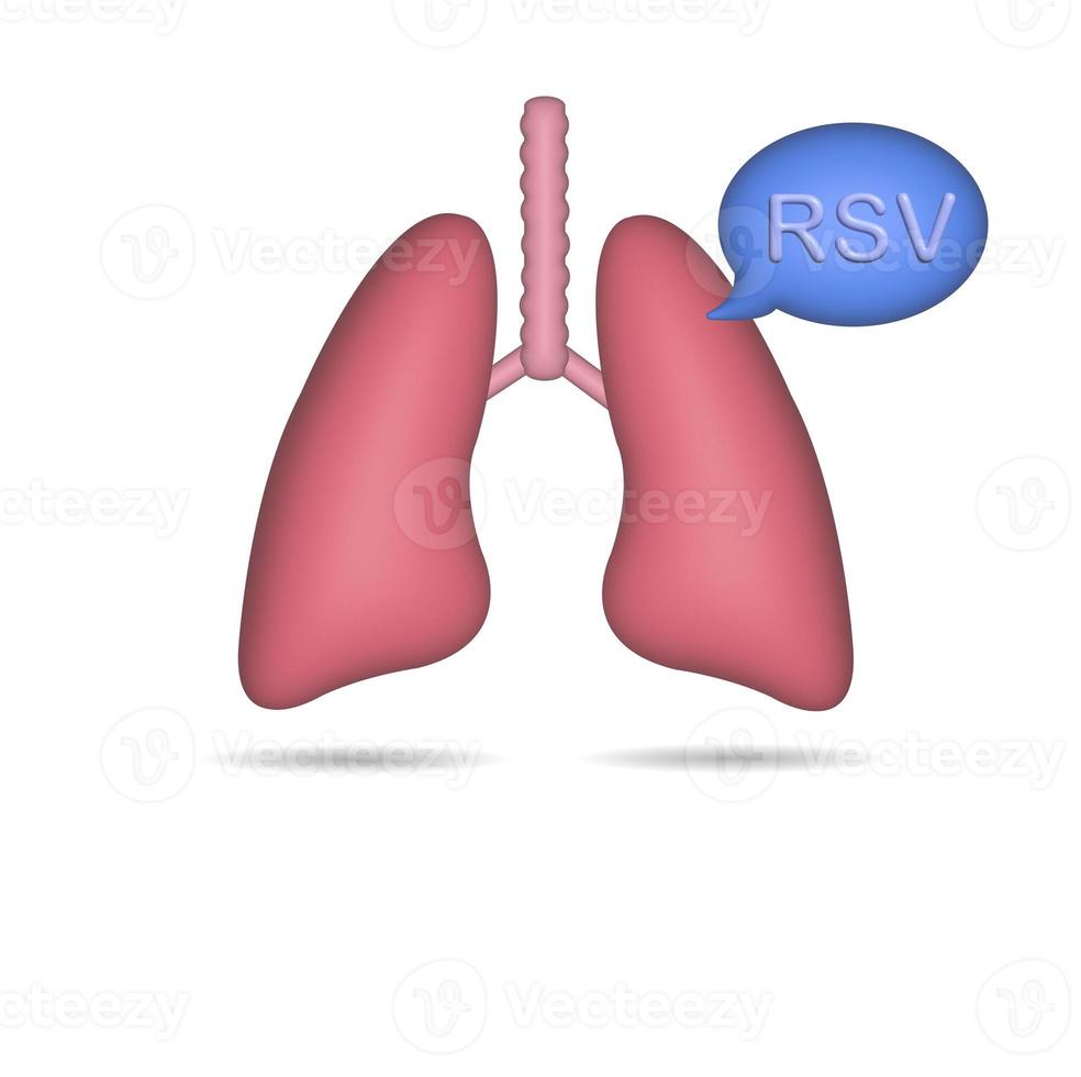 3D Realistic Lung icon isolated from white background. photo