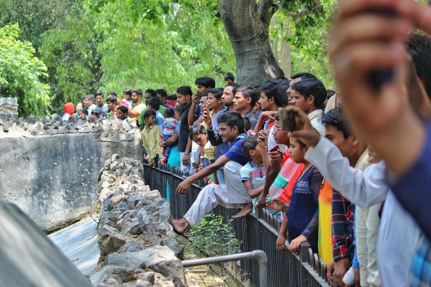Tourists are watching animals in Delhi Zoo photo