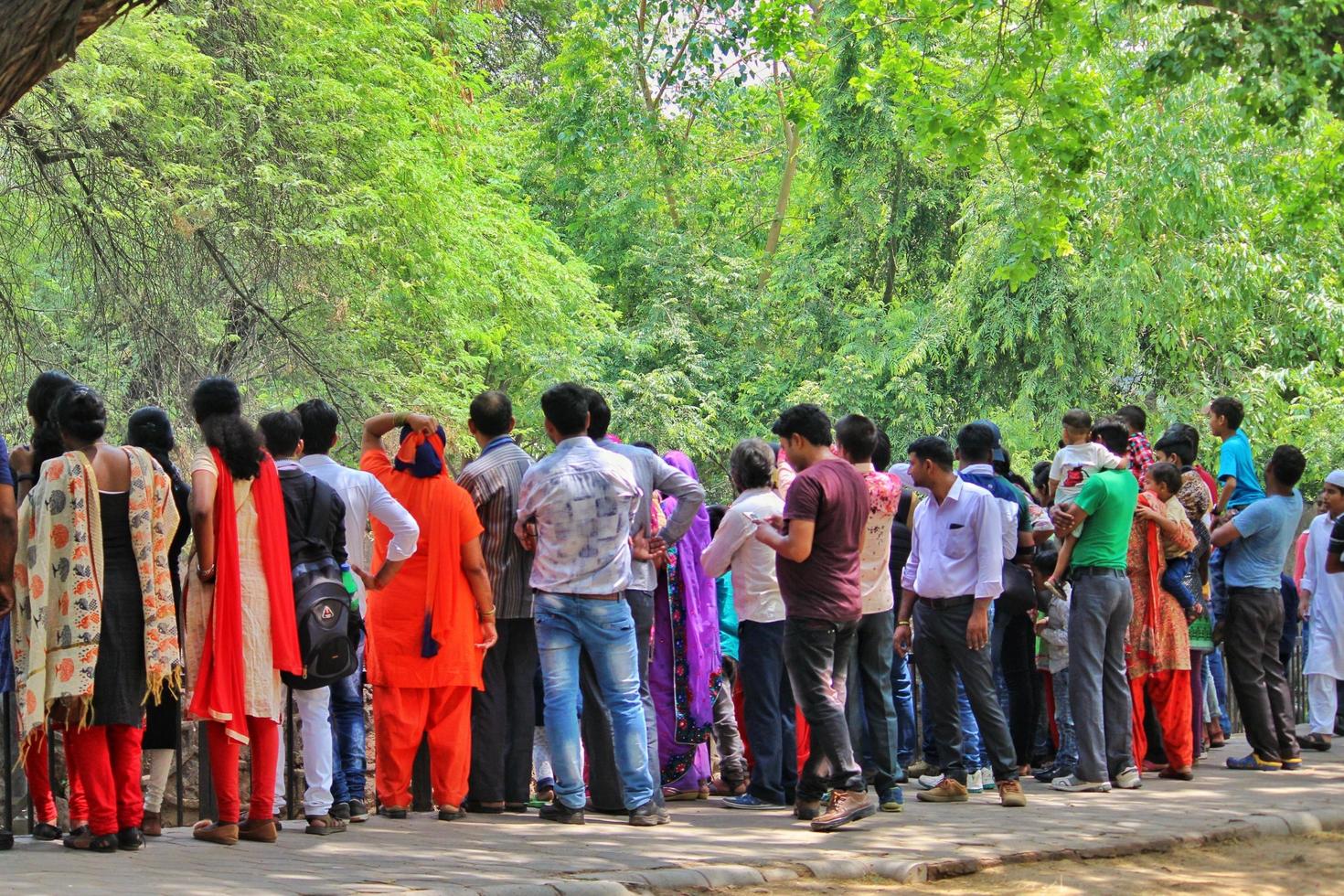 Tourists are watching animals in Delhi Zoo photo