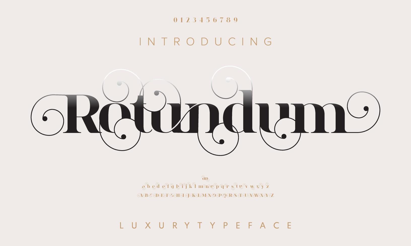 Rotundum luxury fashion font alphabet. Typography swirl typeface uppercase lowercase and number. vector illustration