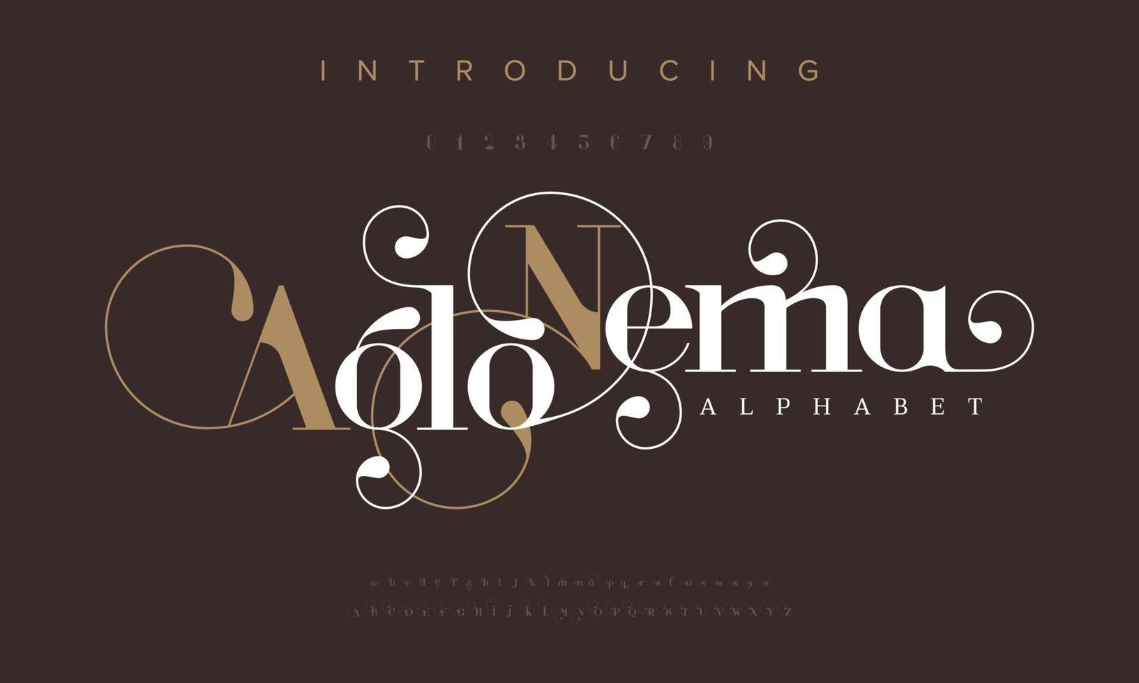 Aglonema luxury fashion font alphabet. Typography swirl typeface uppercase lowercase and number. vector illustration