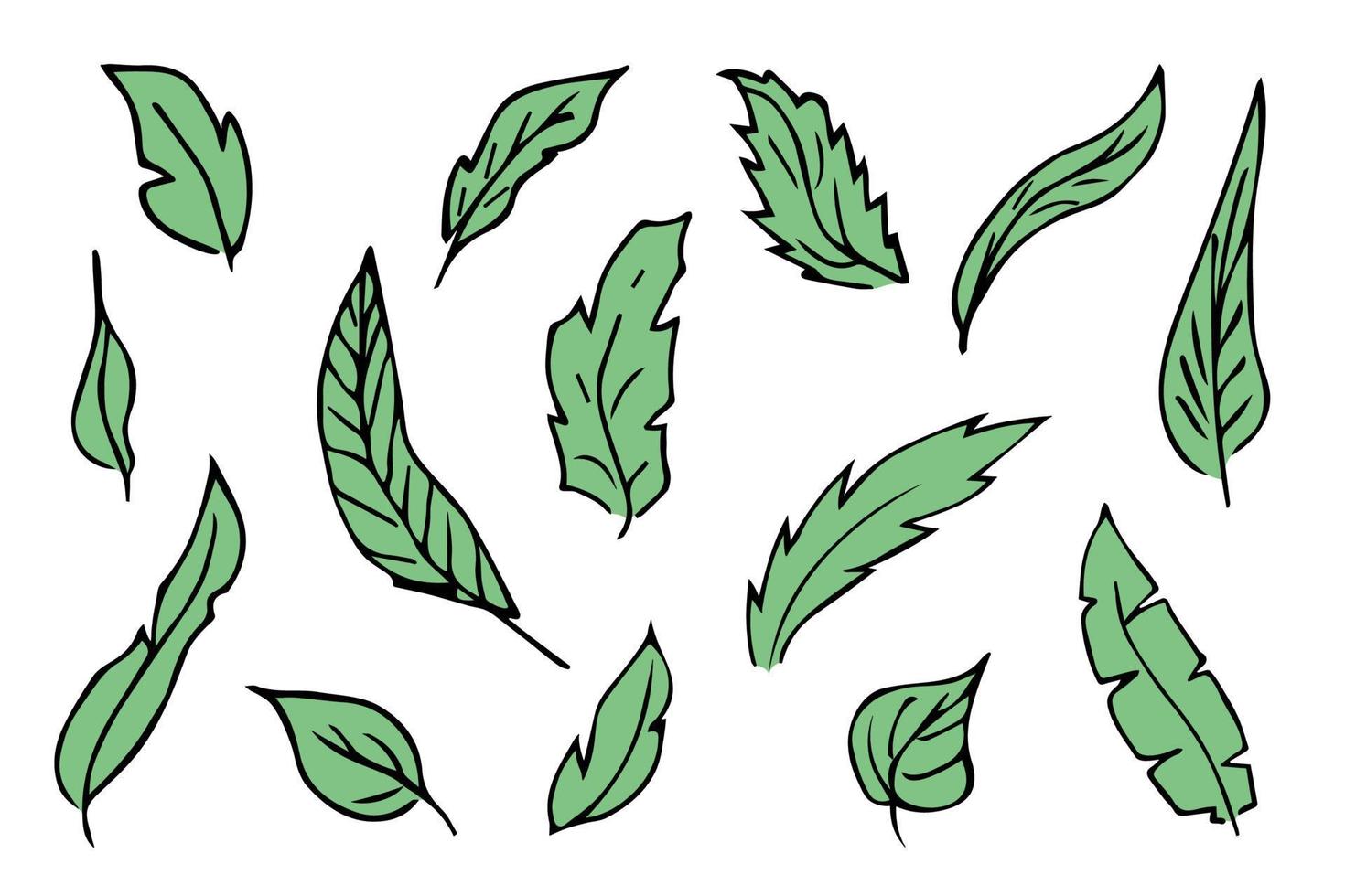 Set of hand drawn simple leaf. Eco doodle clipart. Botanical illustration vector