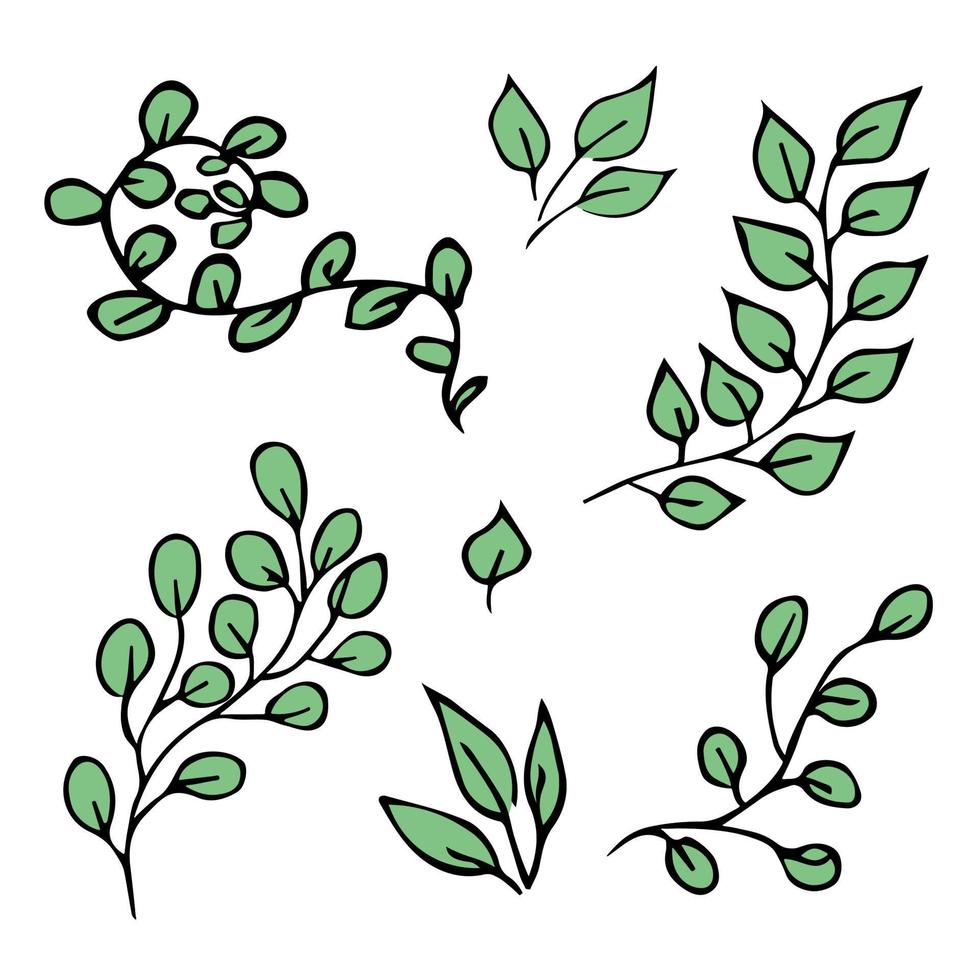 conjunto de ramas simples dibujadas a mano con hojas. imágenes prediseñadas de garabatos ecológicos. ilustración botánica vector