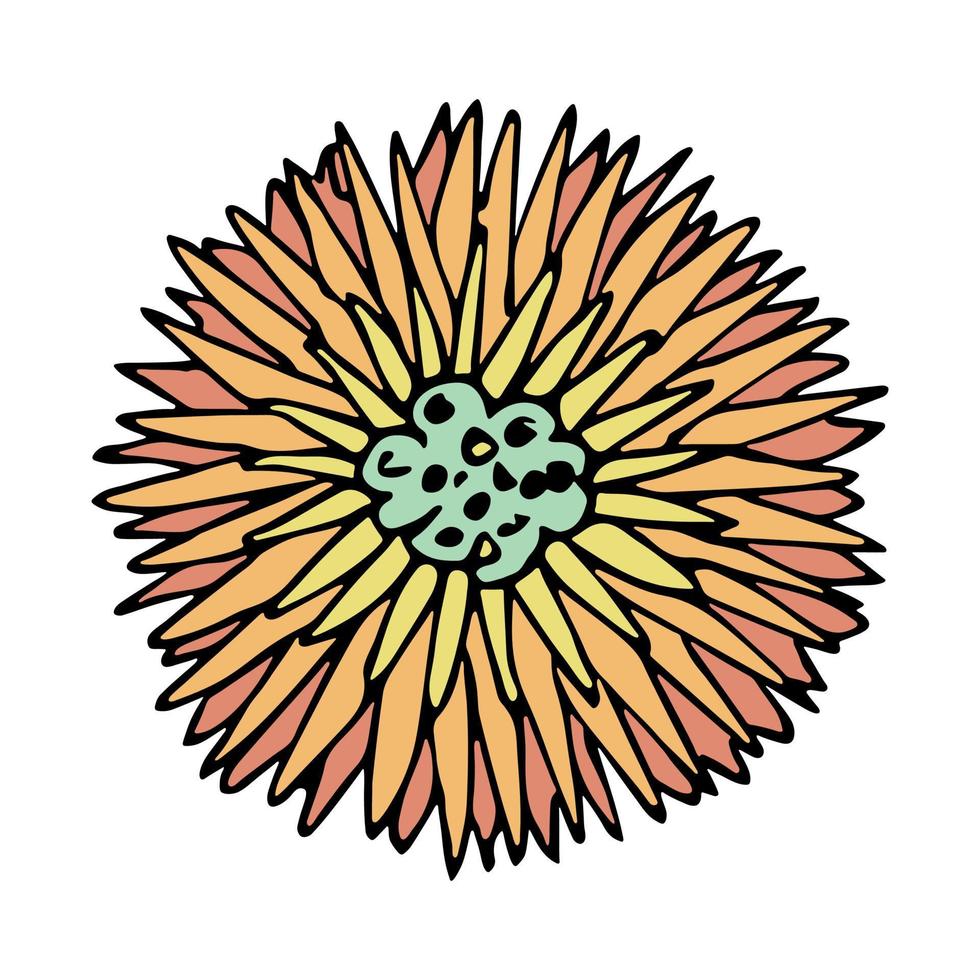 imágenes prediseñadas de flores simples. garabato floral dibujado a mano. para impresión, web, diseño, decoración, logotipo vector