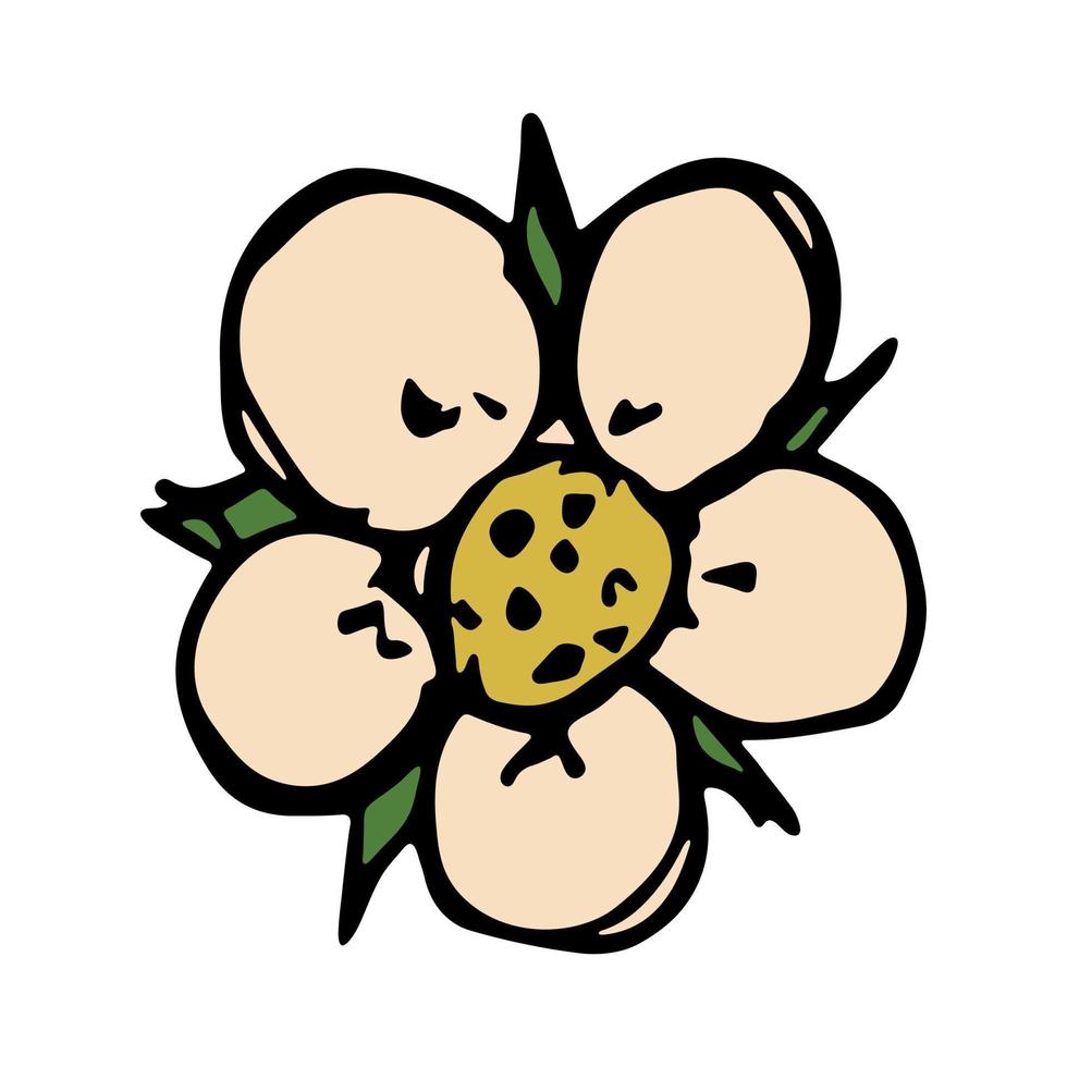 Vector strawberry flower clipart. Hand drawn blossom illustration. For print, web, design, decor, logo