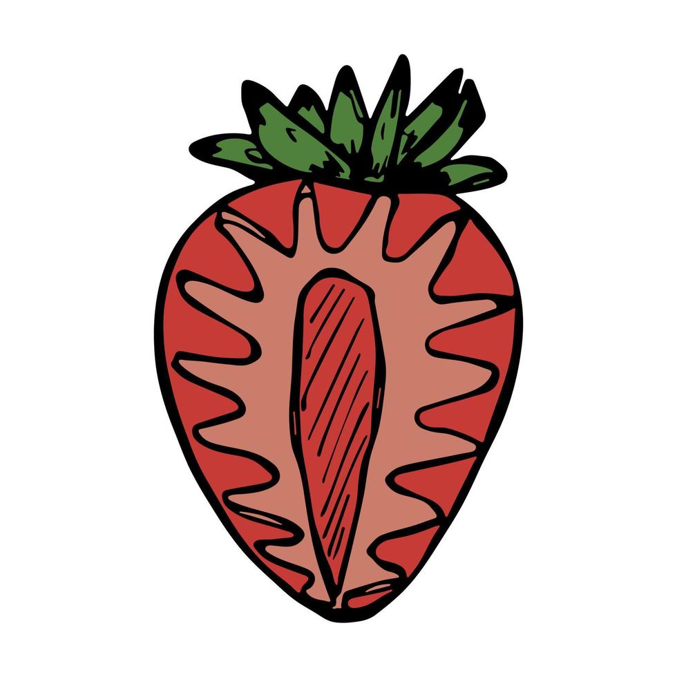 Vector strawberry clipart. Hand drawn berry icon. Fruit illustration. For print, web, design, decor