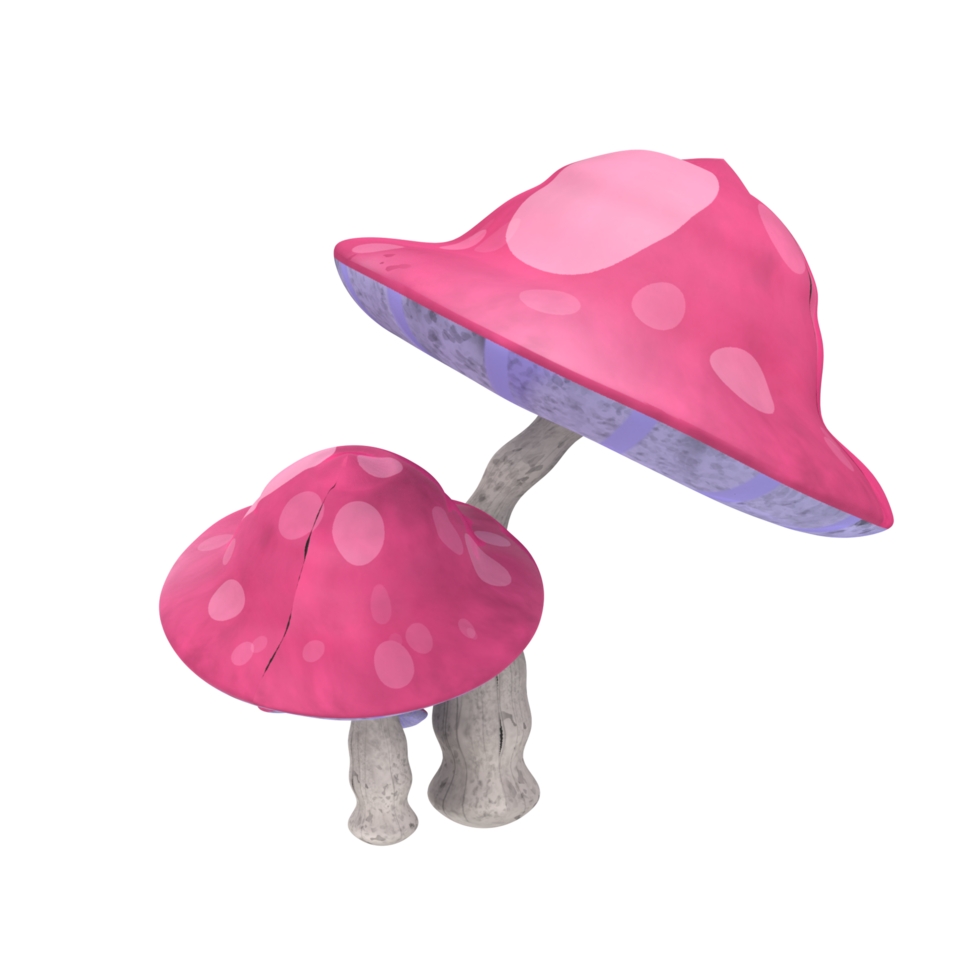 champignon isolé sur transparent png