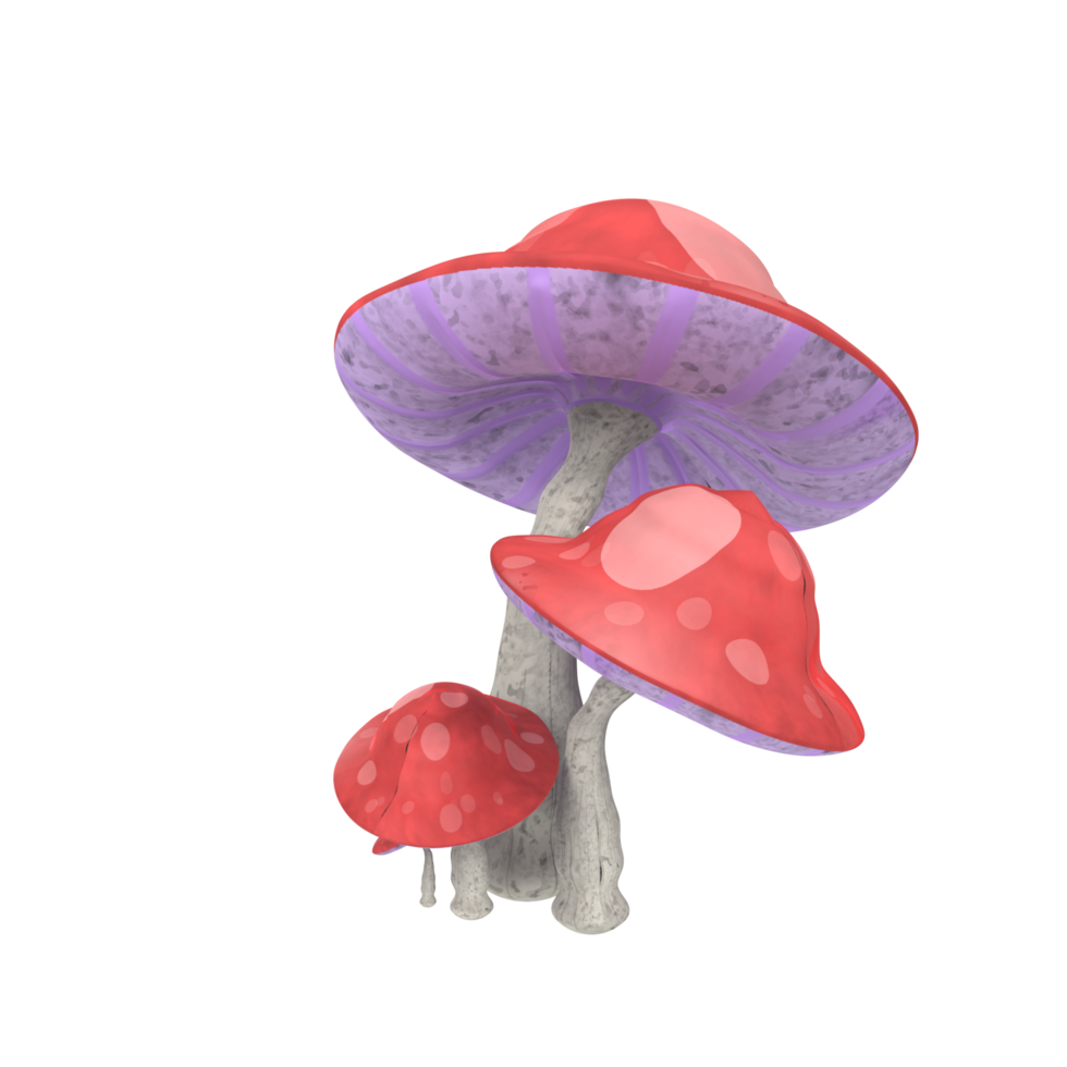 champignon isolé sur transparent png