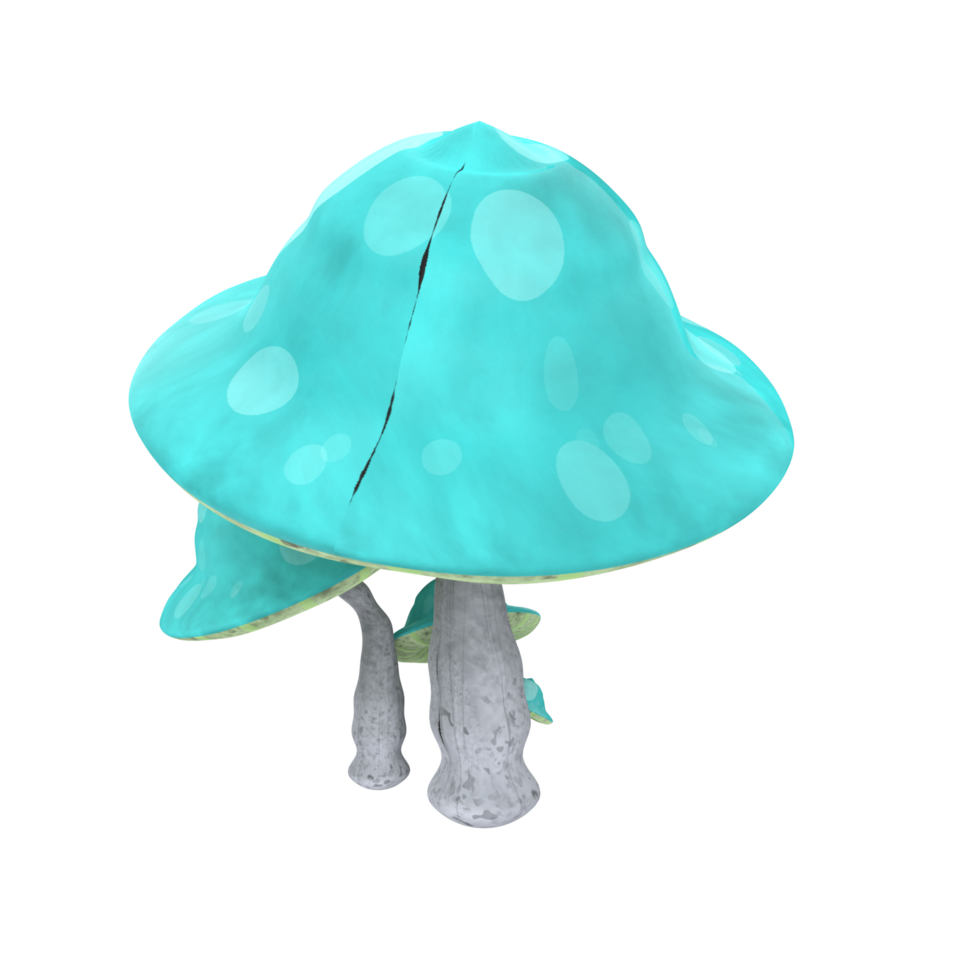 champignon isolé sur transparent png