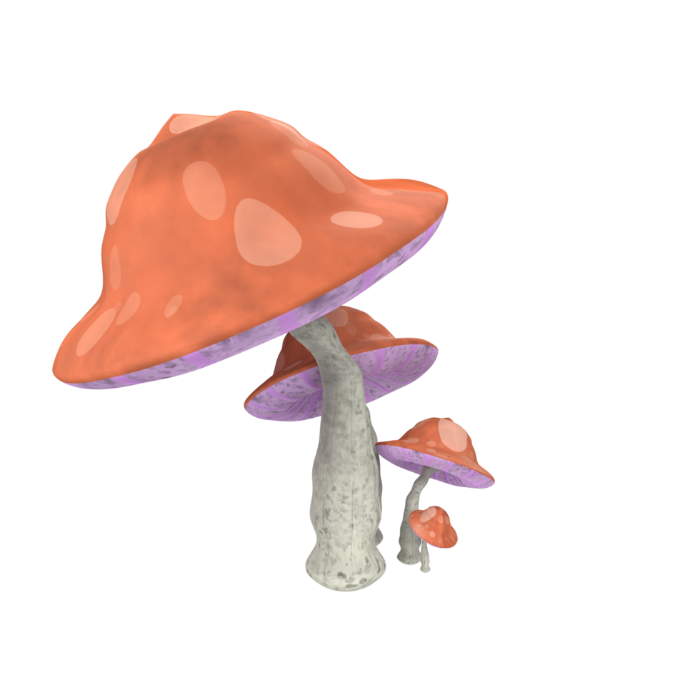 Mushroom isolated on transparent png