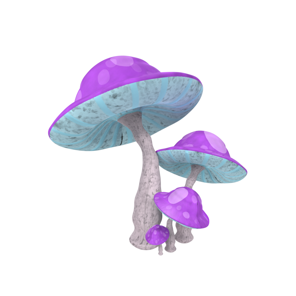 Mushroom isolated on transparent png