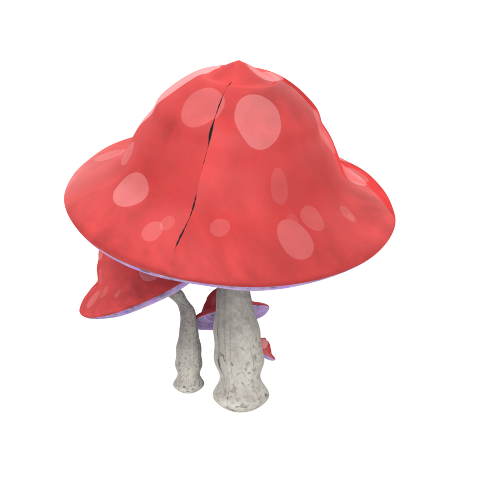 Mushroom isolated on transparent png