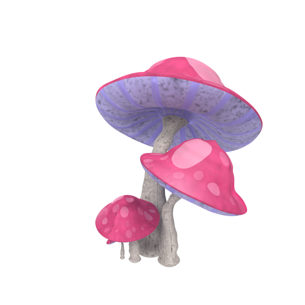 Mushroom isolated on transparent png