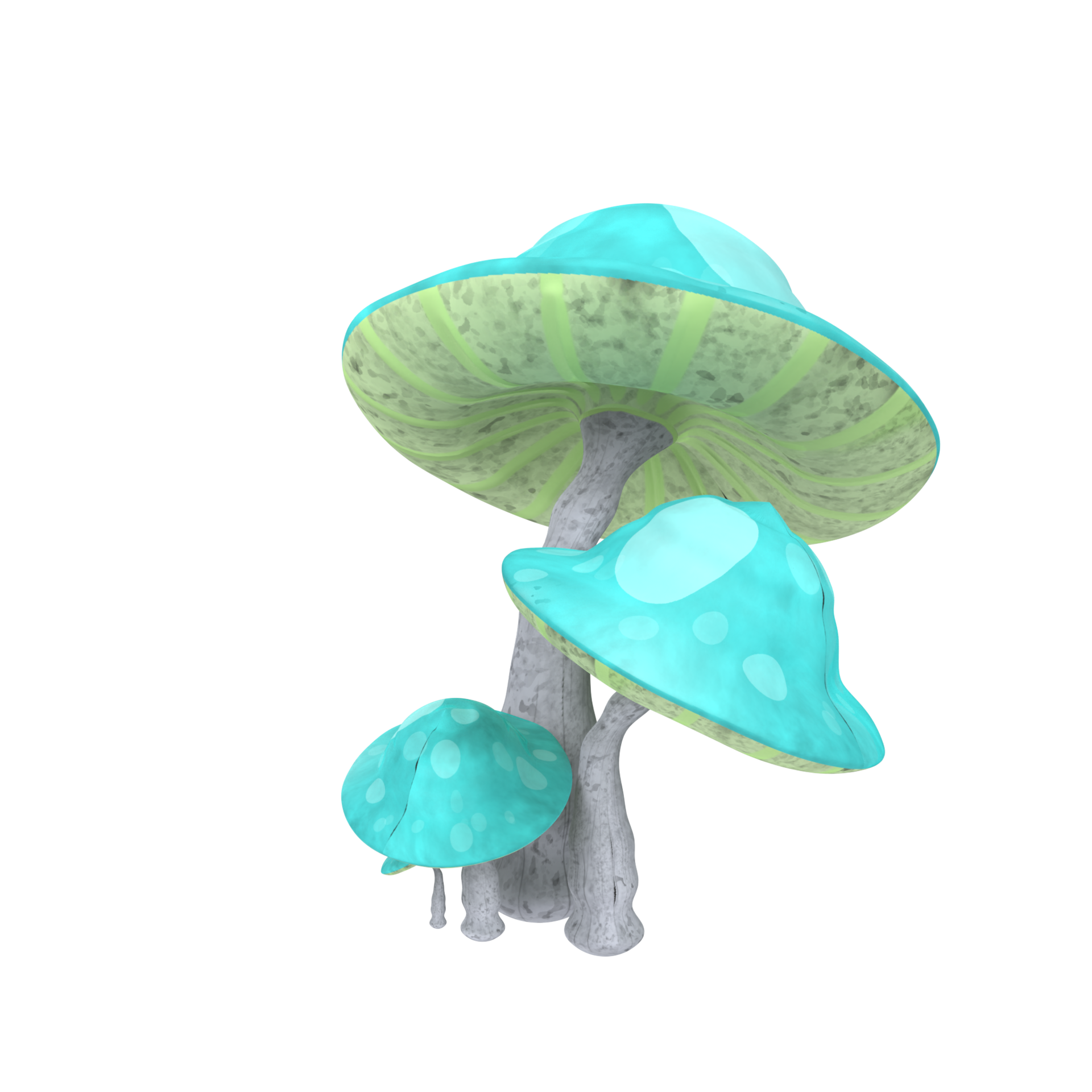 Free Mushroom isolated on transparent 17345526 PNG with Transparent
