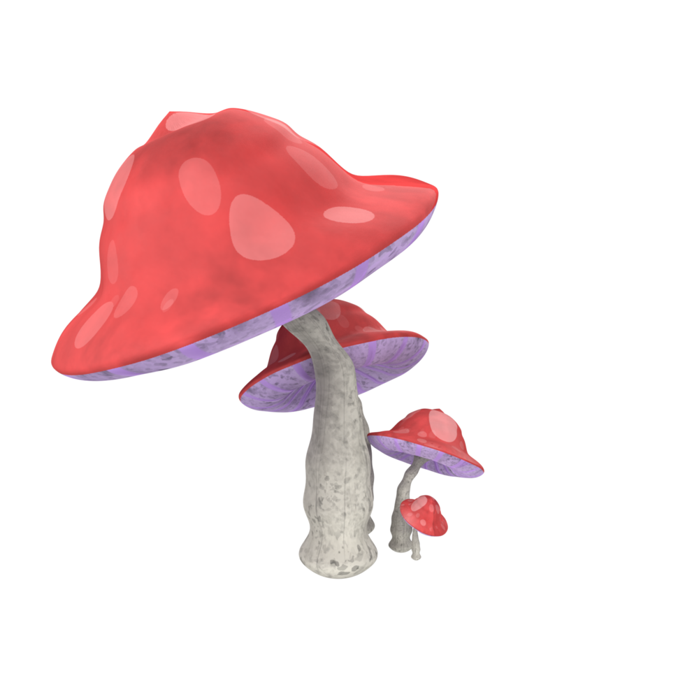 champignon isolé sur transparent png