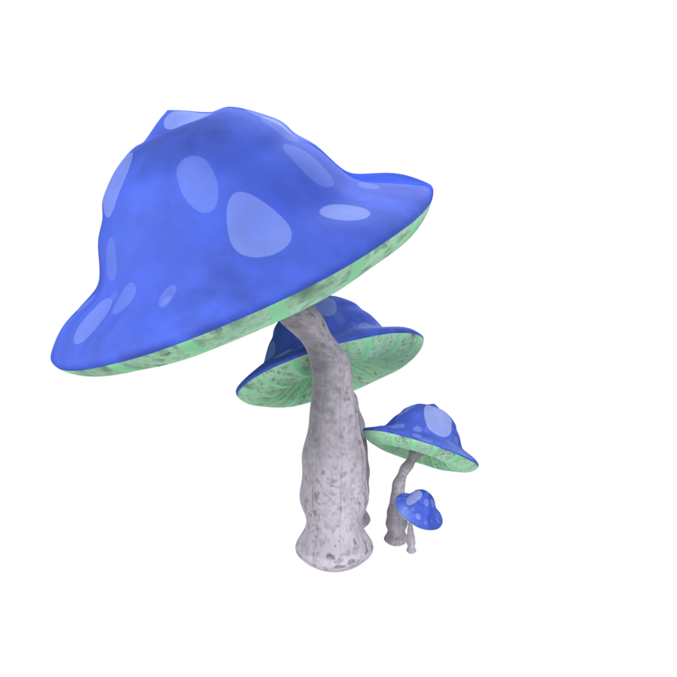 Mushroom isolated on transparent png