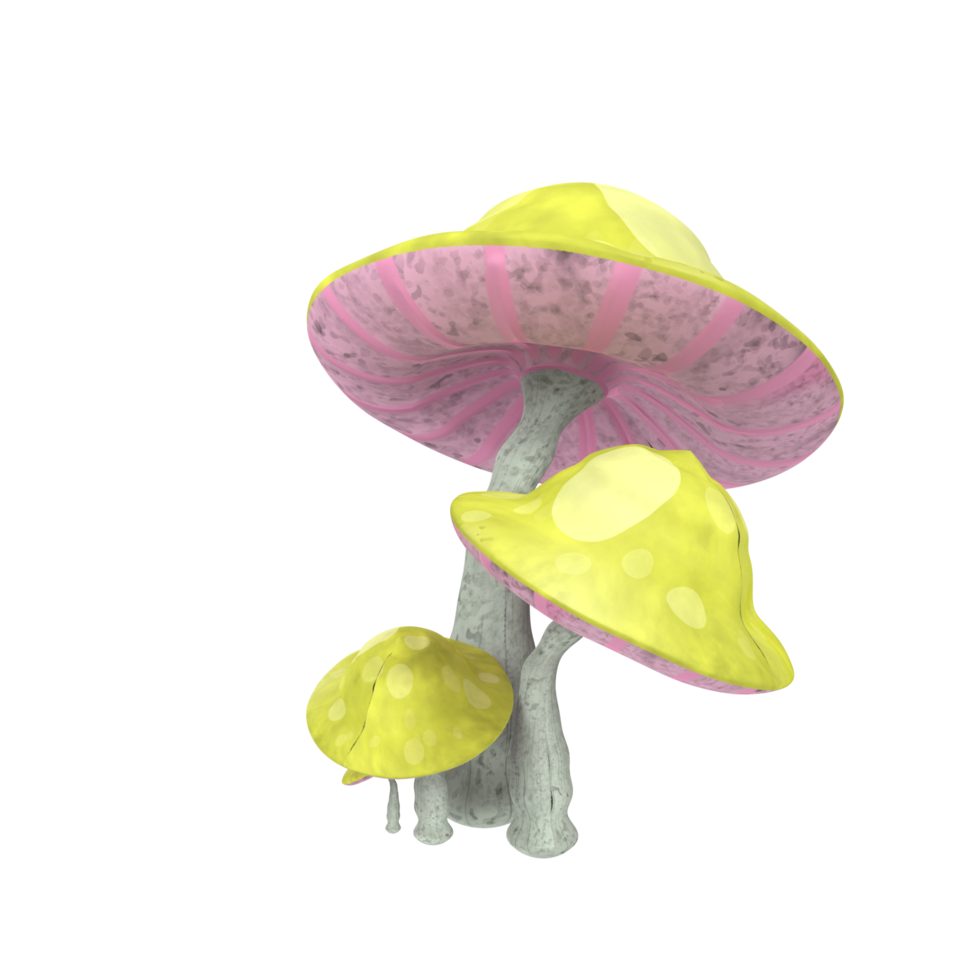 champignon isolé sur transparent png