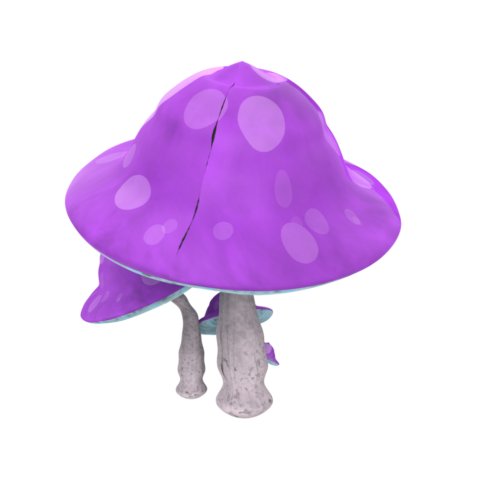 champignon isolé sur transparent png