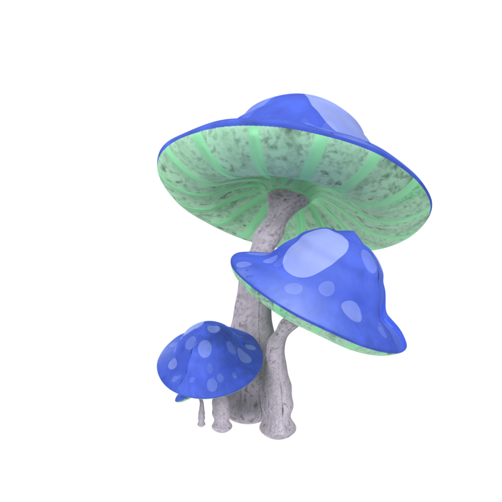 champignon isolé sur transparent png