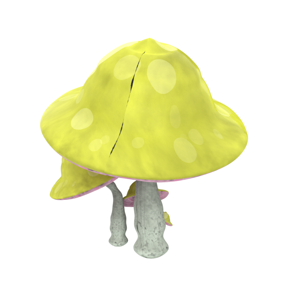 champignon isolé sur transparent png