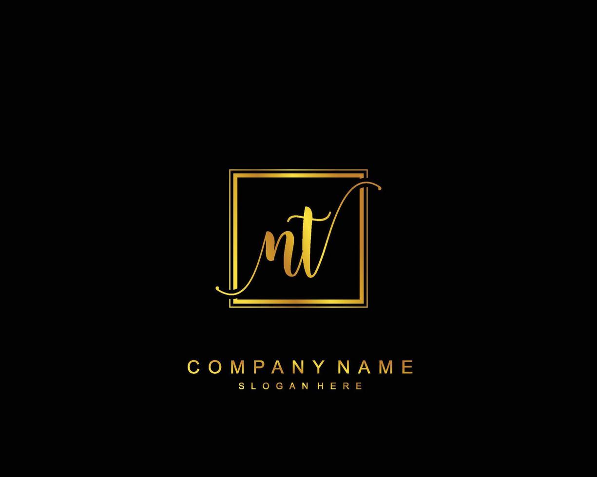 Initial NT beauty monogram and elegant logo design, handwriting logo of initial signature, wedding, fashion, floral and botanical with creative template. vector