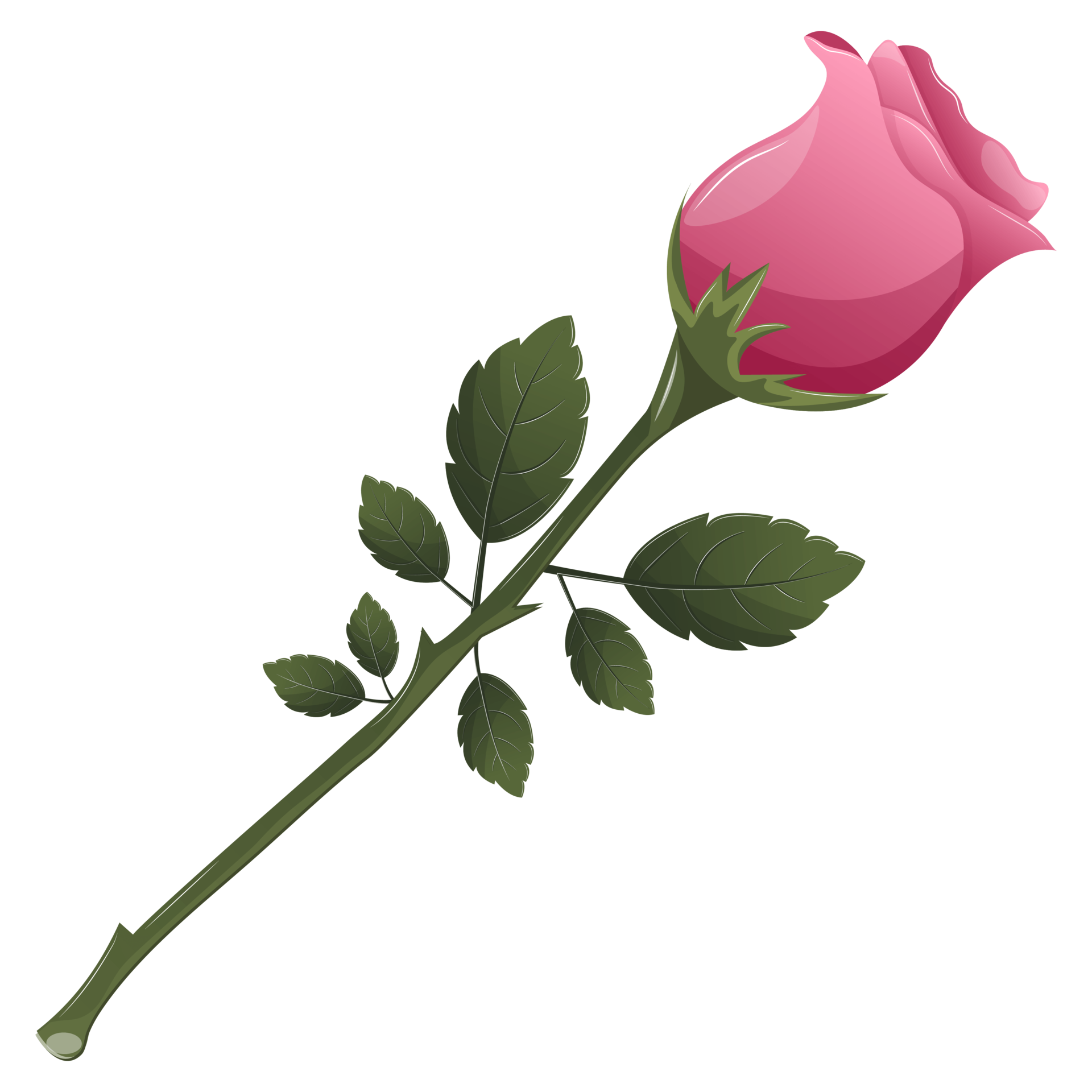 Animated Pink Flowers