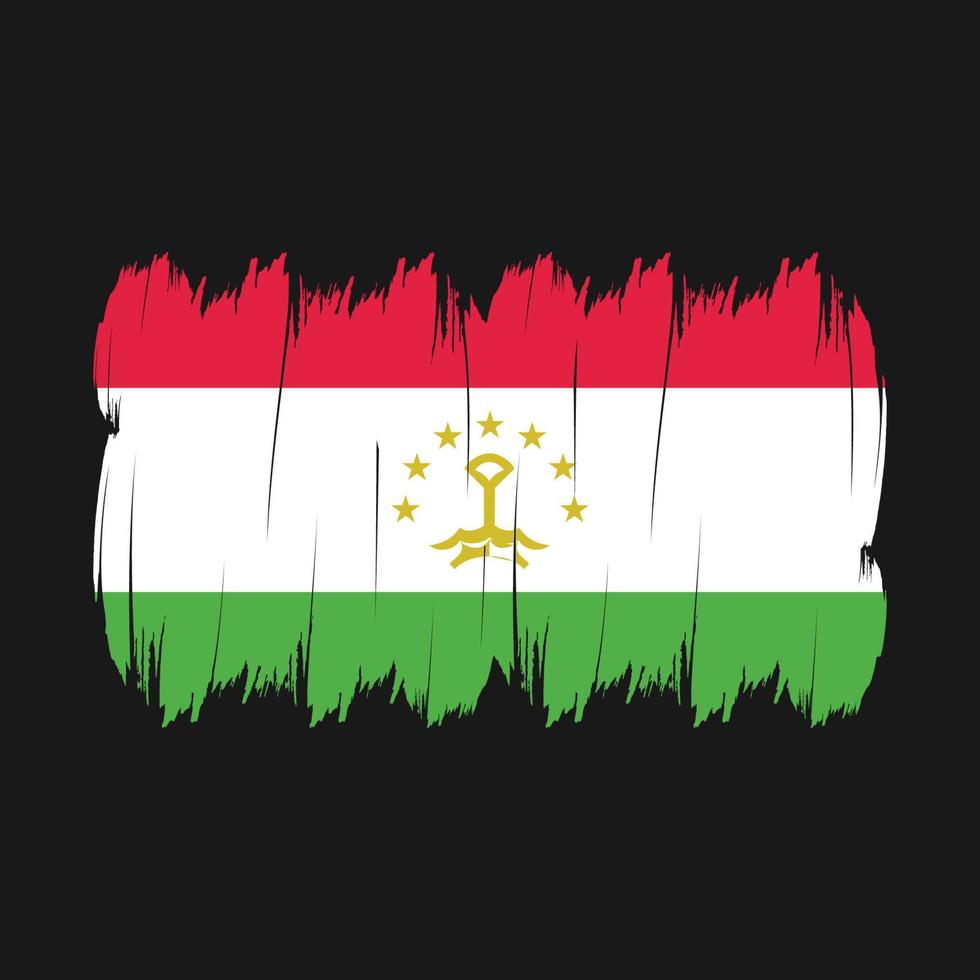 cepillo de bandera de tayikistán vector