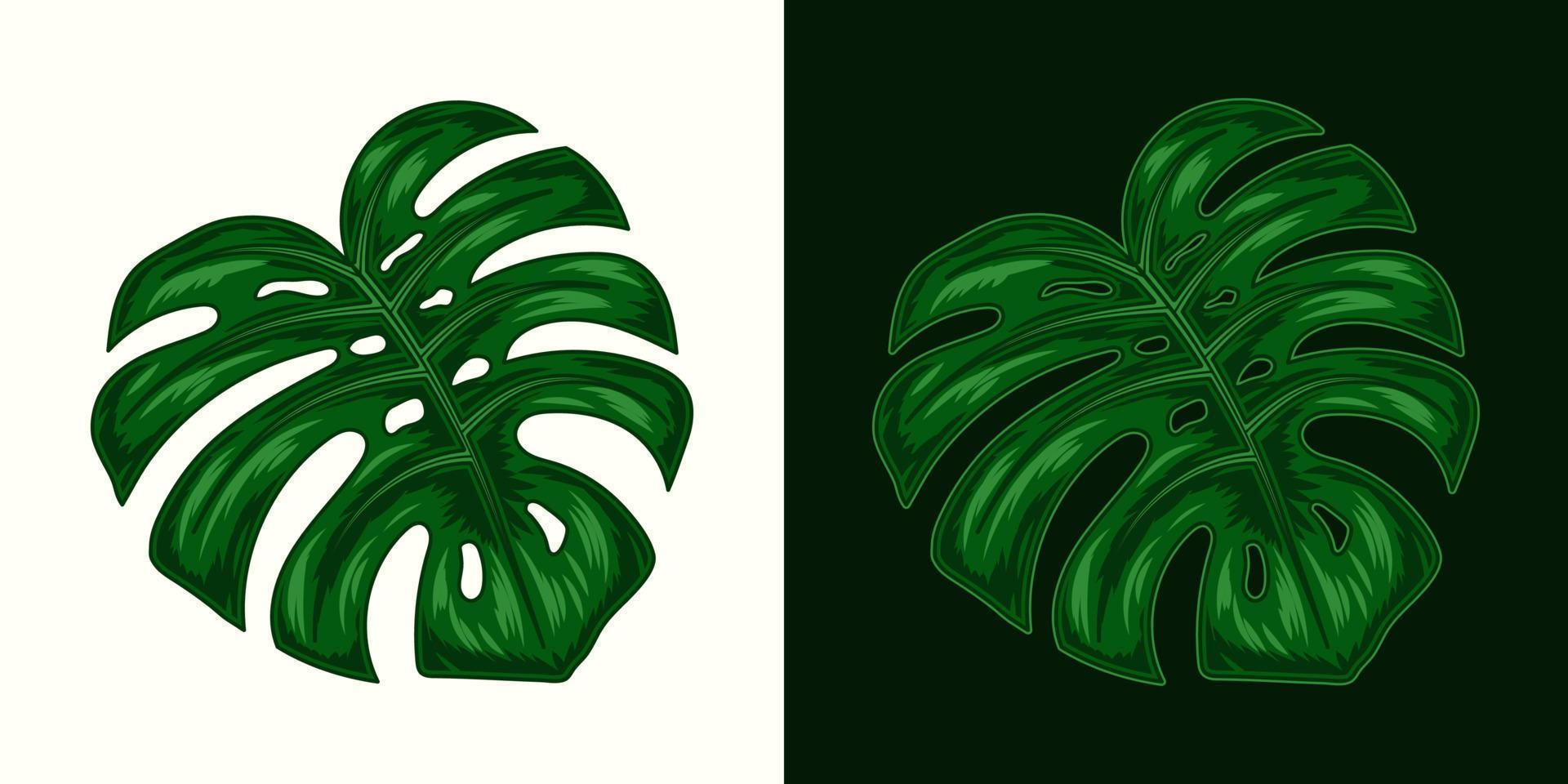 hoja de planta de monstera verde oscuro. ilustración detallada en estilo vintage sobre fondo blanco y oscuro. vector