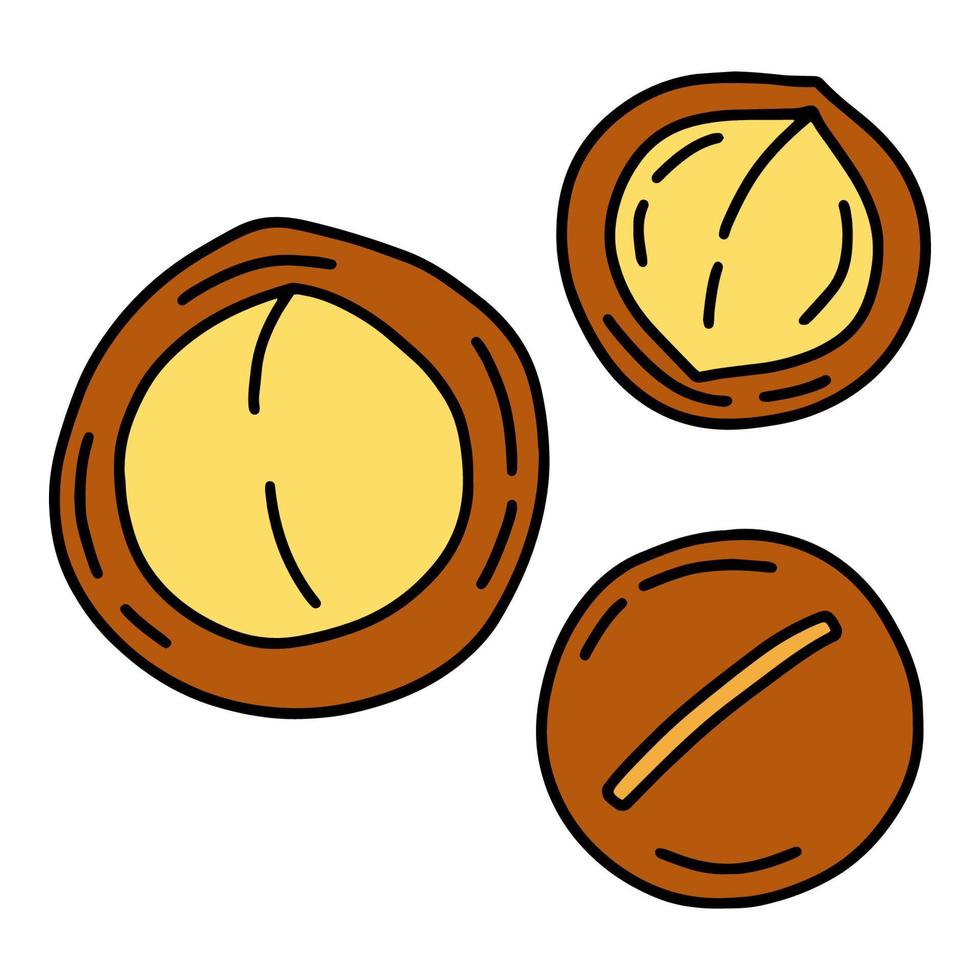 icono de dibujos animados lineal simple de nuez de macadamia en estilo de fideos, ilustración vectorial vector