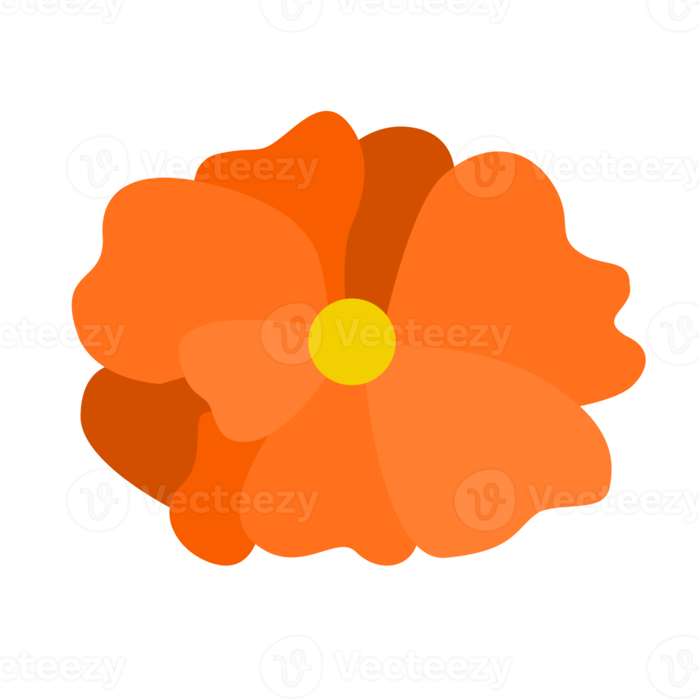 orange flower for design element png