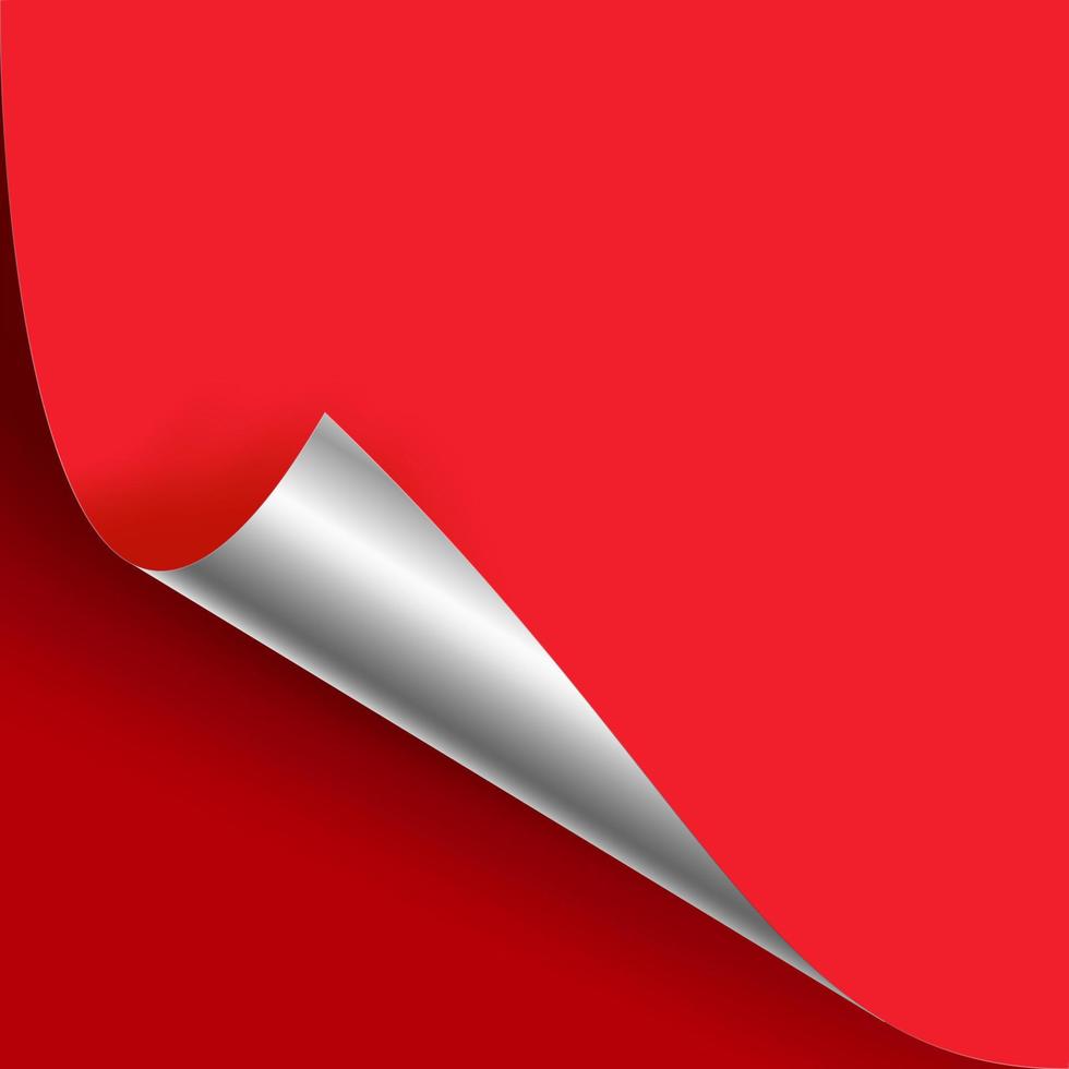 Curled Silver Metalic Corner Vector. Red Paper with Shadow Mock up Close up On Red Backdound vector