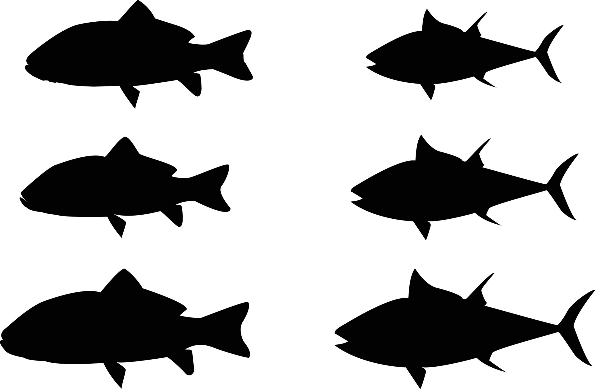Creative Fish silhouette Vector 17351909 Vector Art at Vecteezy
