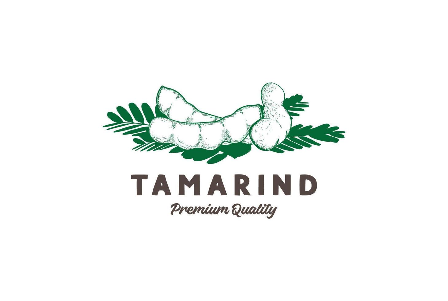 boceto de tamarindo dibujado a mano vintage para el diseño del logotipo del producto agrícola vector