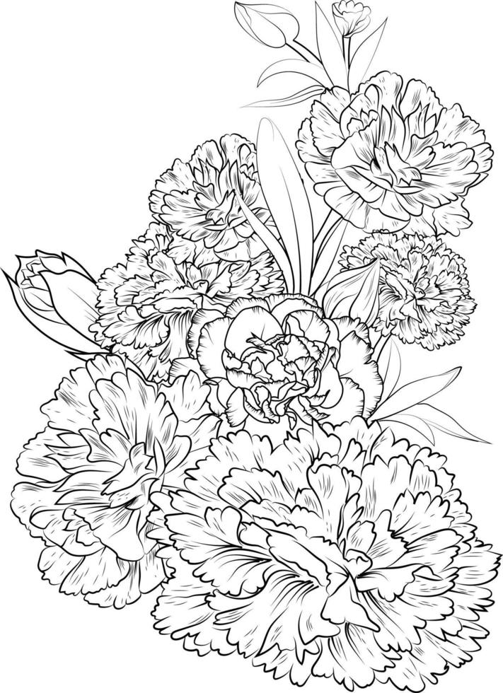 ramo de flores de clavel boceto a lápiz dibujado a mano, página para colorear y libro para adultos aislados en fondo blanco tatuaje de elementos florales, arte de tinta de ilustración, colección de primavera de flores en flor. vector
