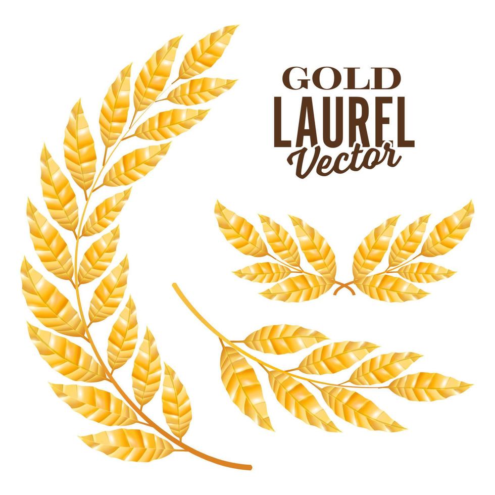 Gold Laurel Vector. Elements For Award Design vector
