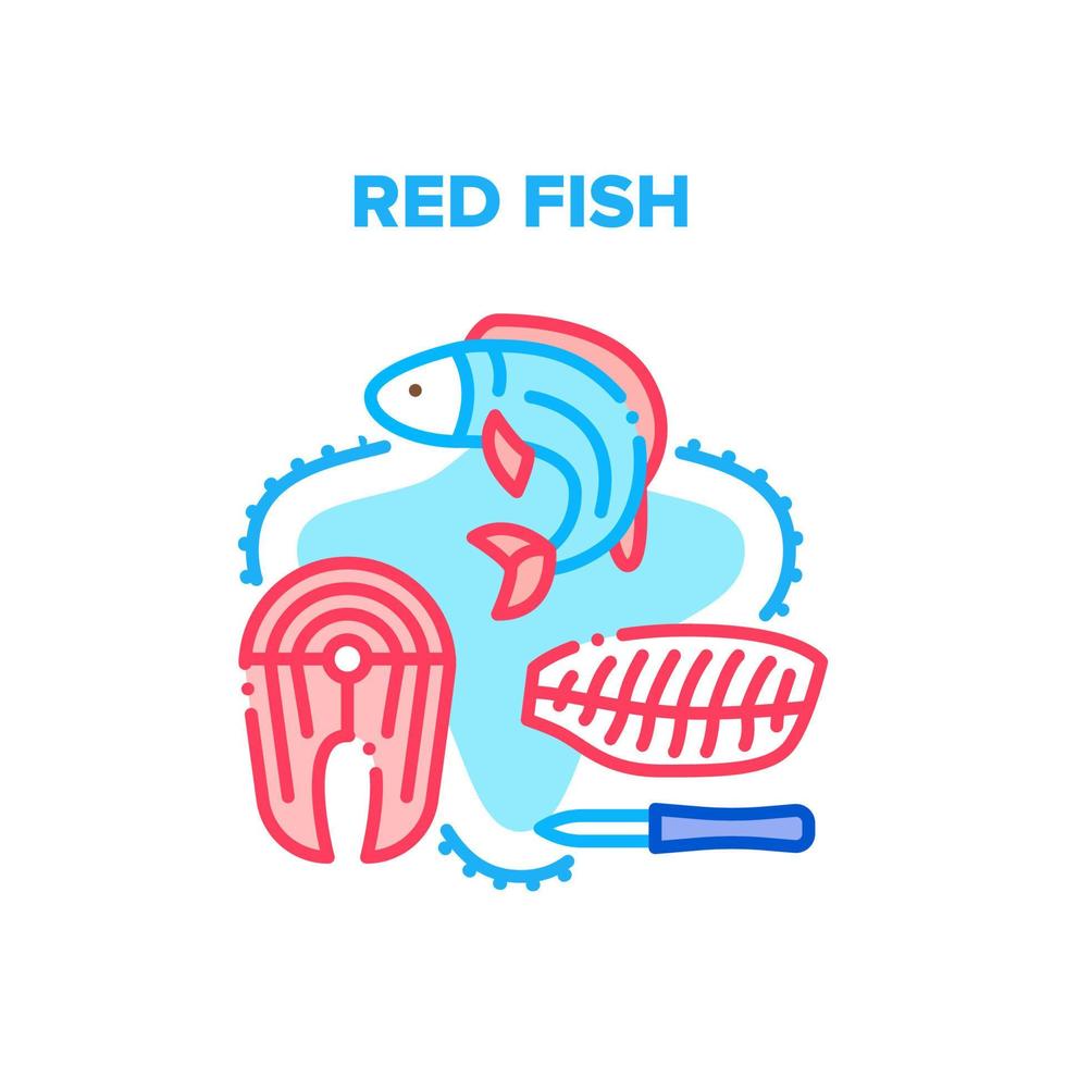 Red Fish Meat Vector Concept Color Illustration