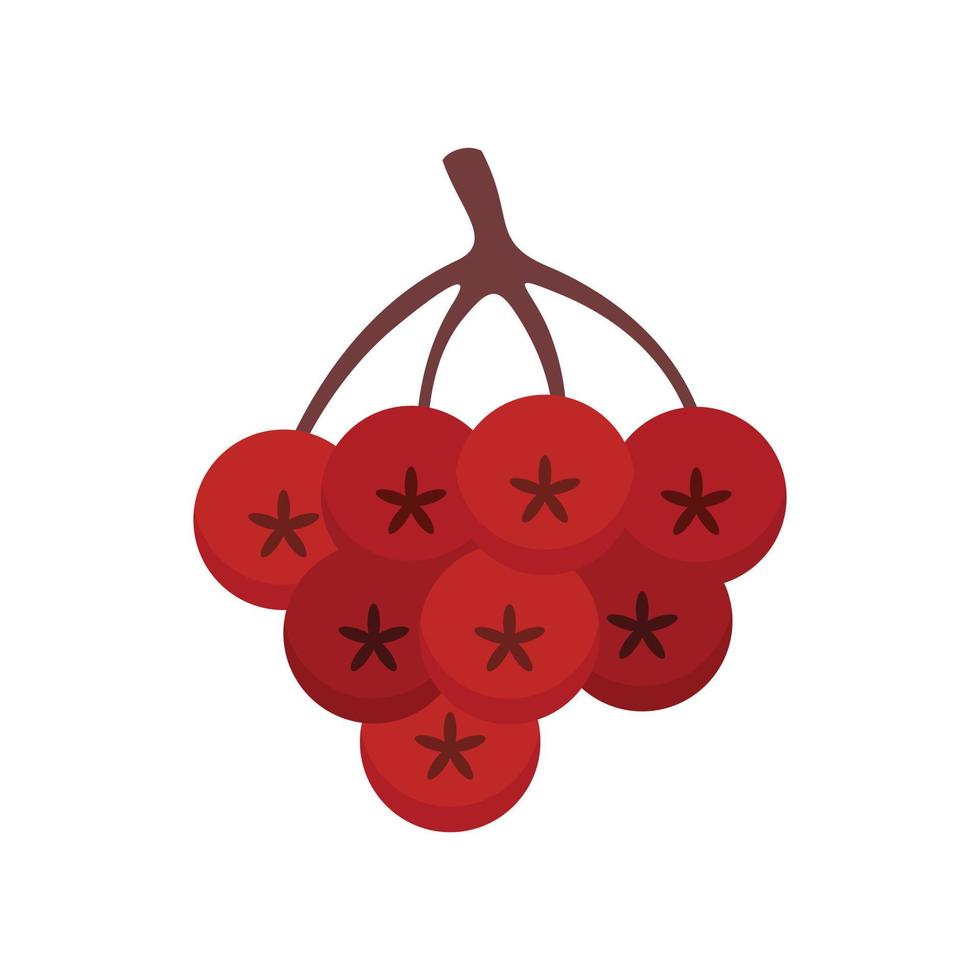 Rowan autumn berry icon, flat style vector