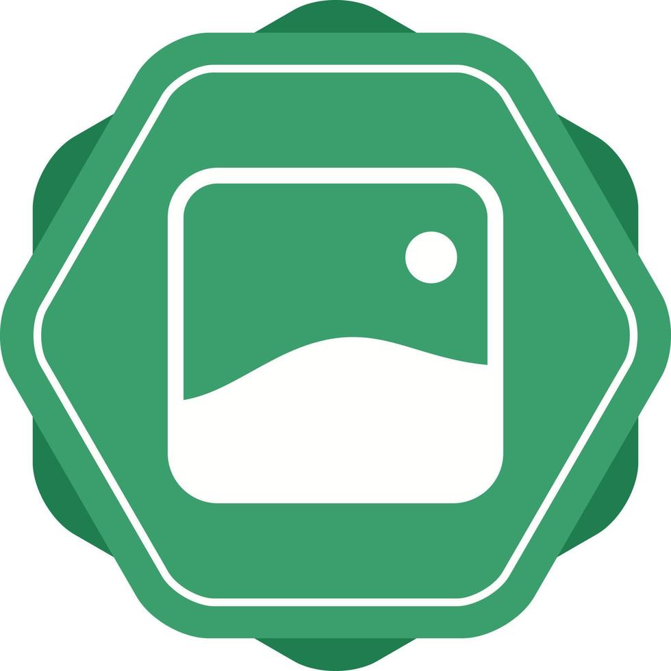 Unique Gallery Vector Glyph Icon