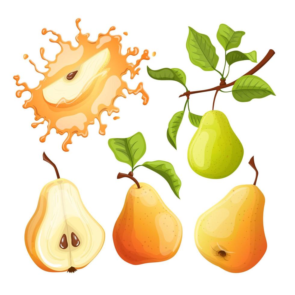 fruta pera conjunto dibujos animados vector ilustración