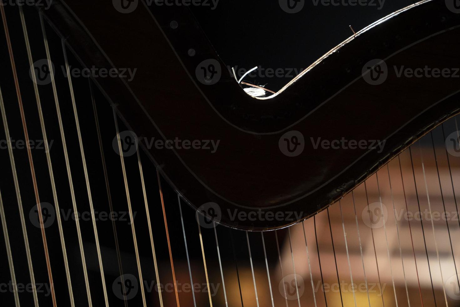 harp strings detail close up isolated on black photo