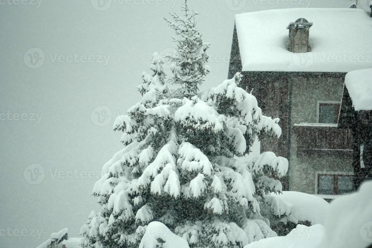 snow tempest on italian alps photo