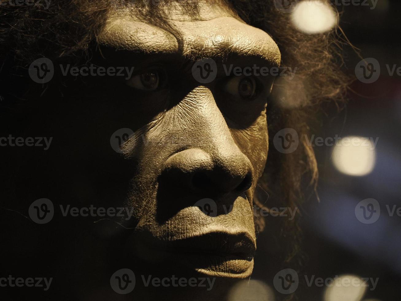 Homo erectus human head cranium photo