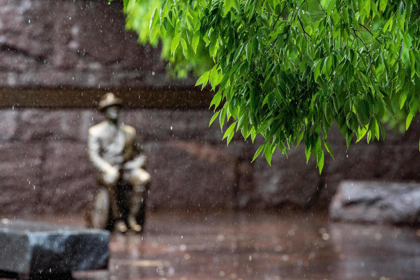 Roosevelt memorial statue under the rain in Washington DC, 2022 photo