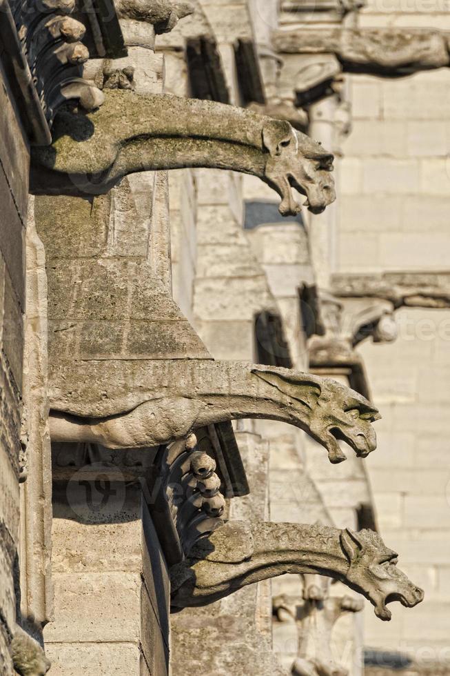 notre dame paris statues and gargoyles photo