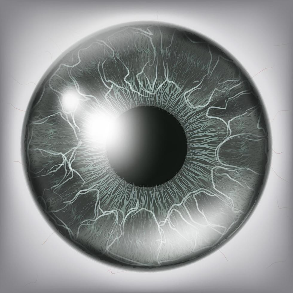 vector de cierre del iris del ojo humano. ilustración de concepto médico saludable