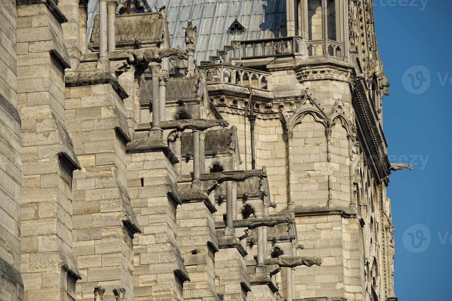 notre dame paris statues and gargoyles photo