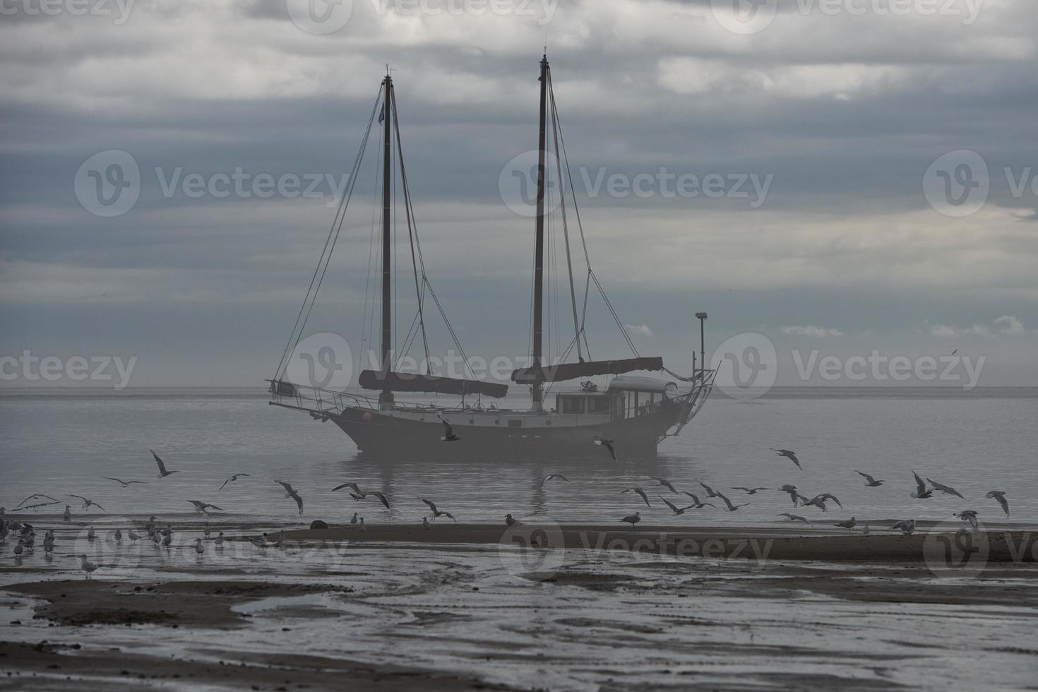 Ship in the fog background photo