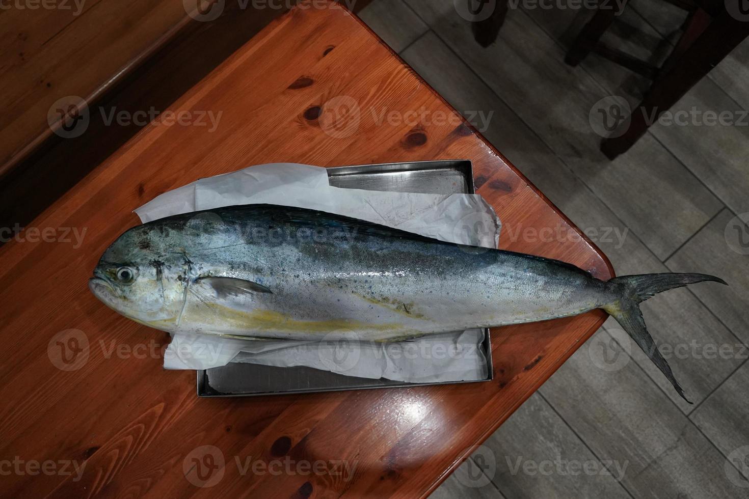 dolphin fish at the fish market photo