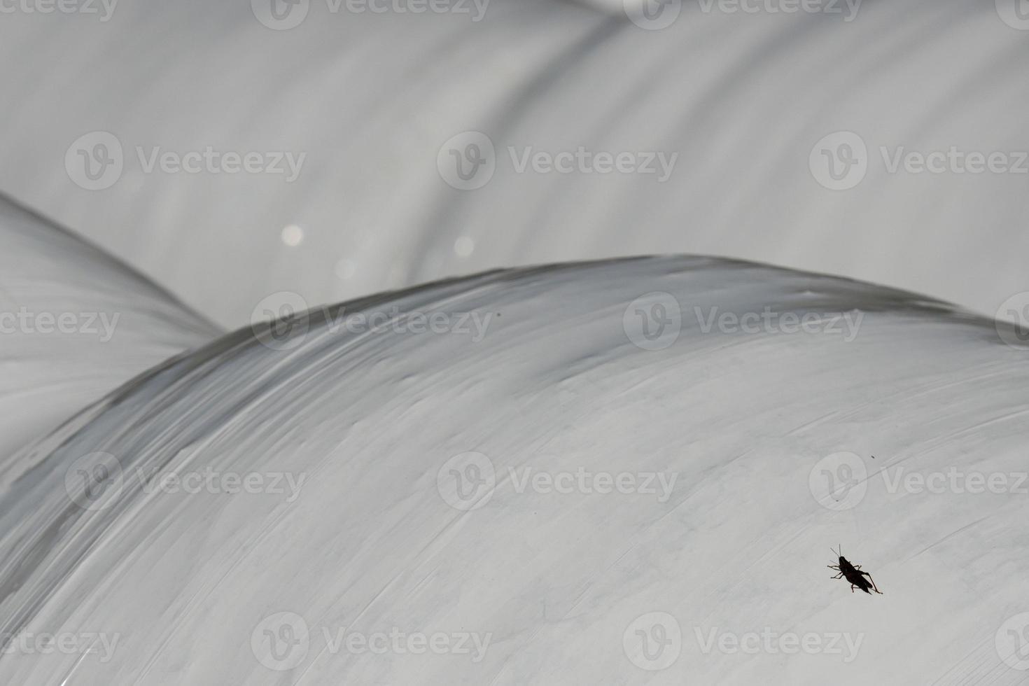 packed hay bale photo