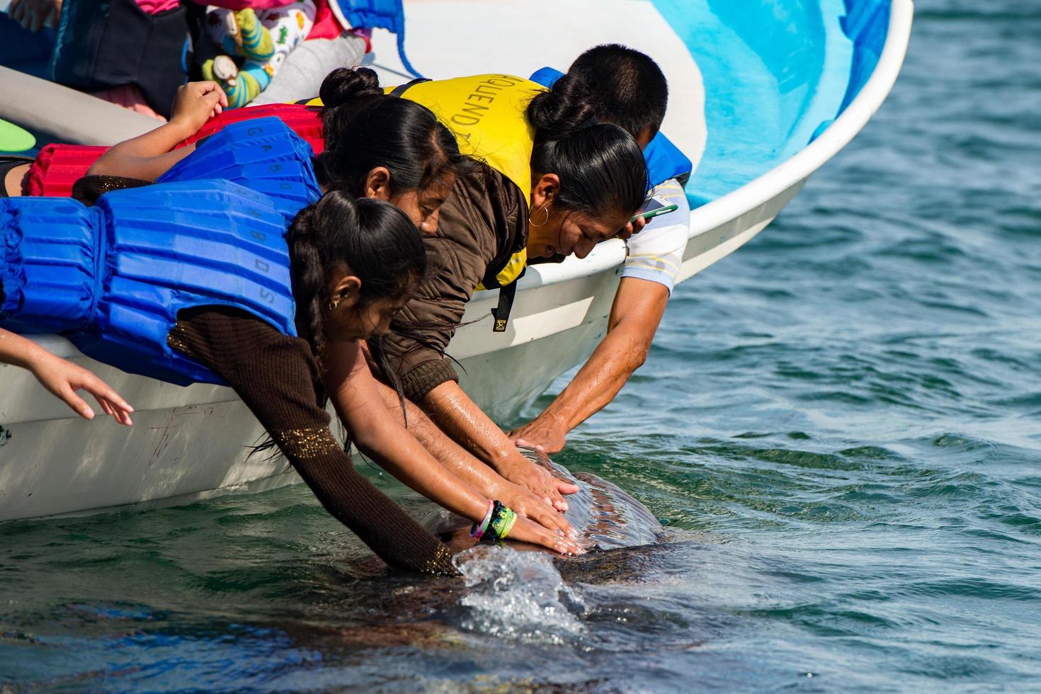 ALFREDO LOPEZ MATEOS - MEXICO - FEBRUARY, 5 2015 - grey whale approaching a boat photo